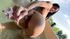asian nude teen showing
